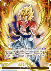 〔中古A〕悪鬼を討つ戦士【SR★】[FB09-096]（パラレル）