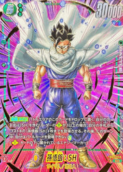 〔中古A〕孫悟飯：SH【R★】[FB09-059]（パラレル/金文字）