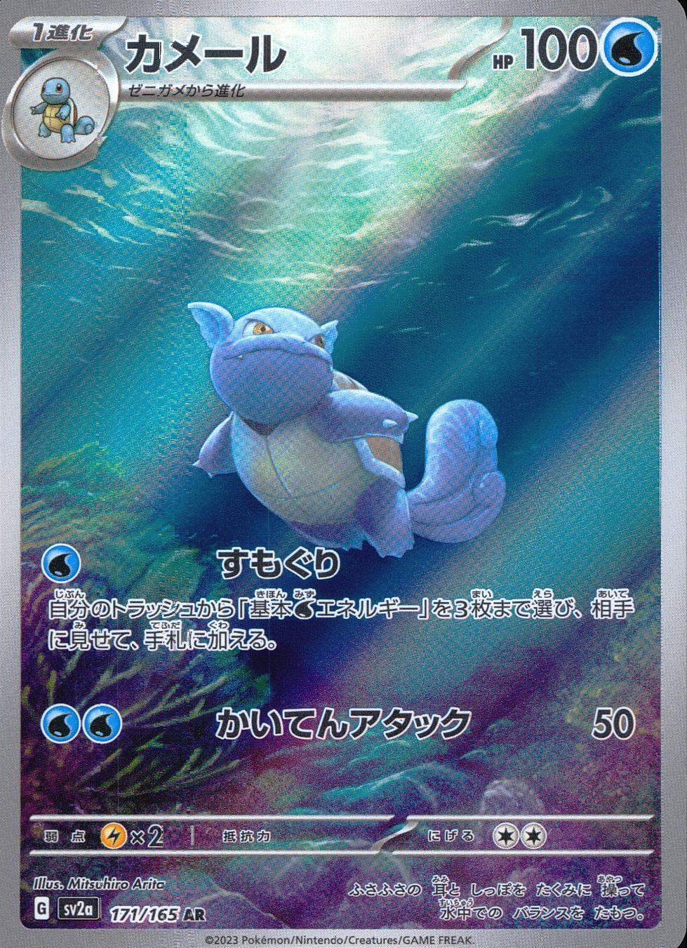 中古B〕カメール【AR】[171/165/SV2a] – cardéria | カーデリア
