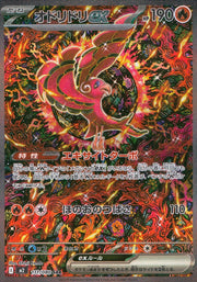 〔中古A〕オドリドリex【SAR】[111/080/M2]
