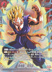 〔中古A〕孫悟飯:青年期【PR★】[FP-063]（パラレル）