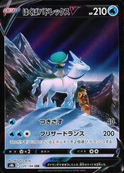 〔中古A〕はくばバドレックスV【CSR】[220/184/S8b]