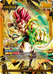 〔中古A〕シャレット【L★】[FB11-073]（パラレル）