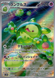 〔中古A〕ランクルス【AR】[075/071/SV5K]