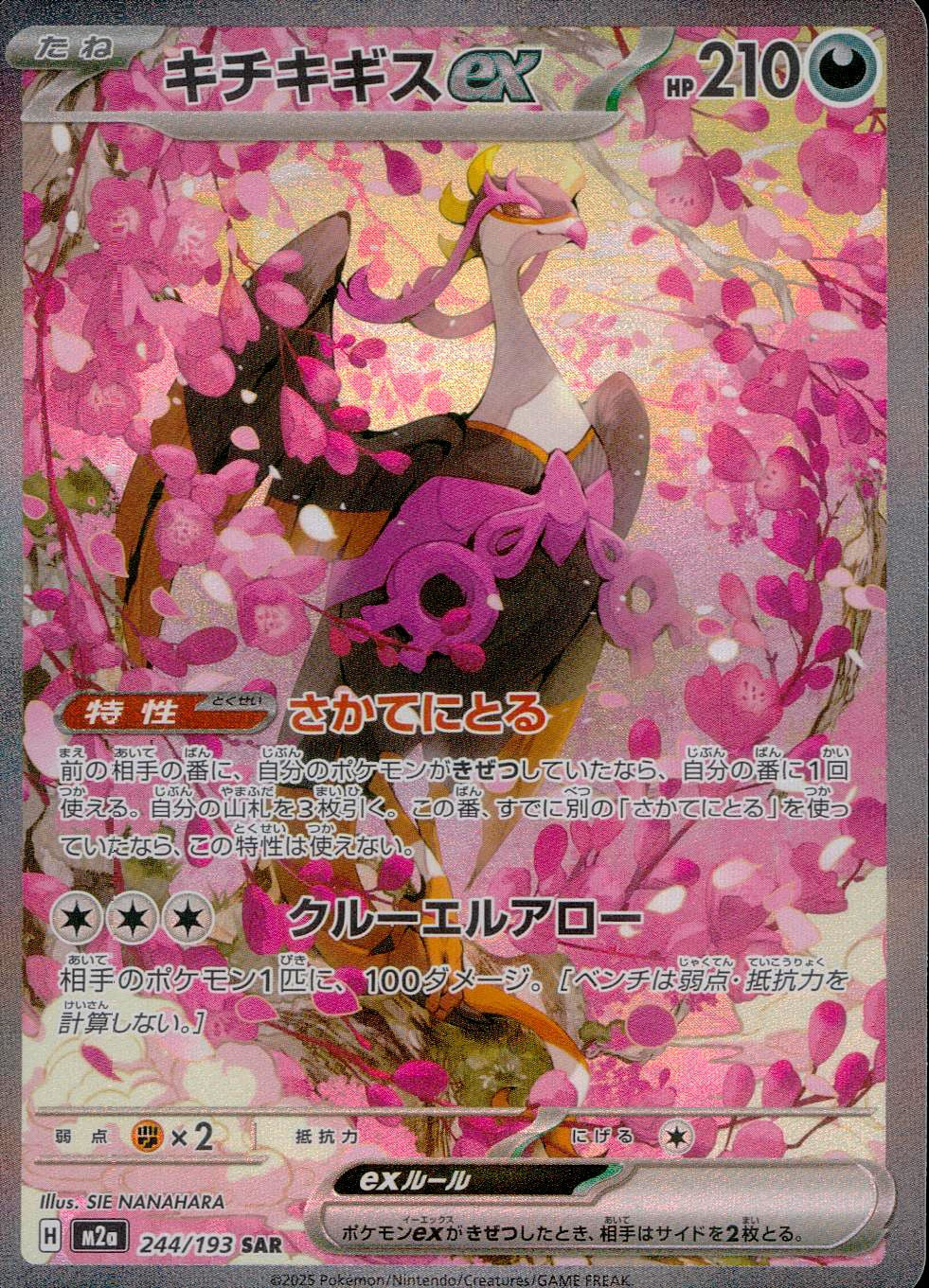 中古A〕キチキギスex【SAR】[244/193/M2A] – cardéria | カーデリア