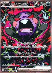 〔中古A〕モルペコex【SAR】[115/081/M5]